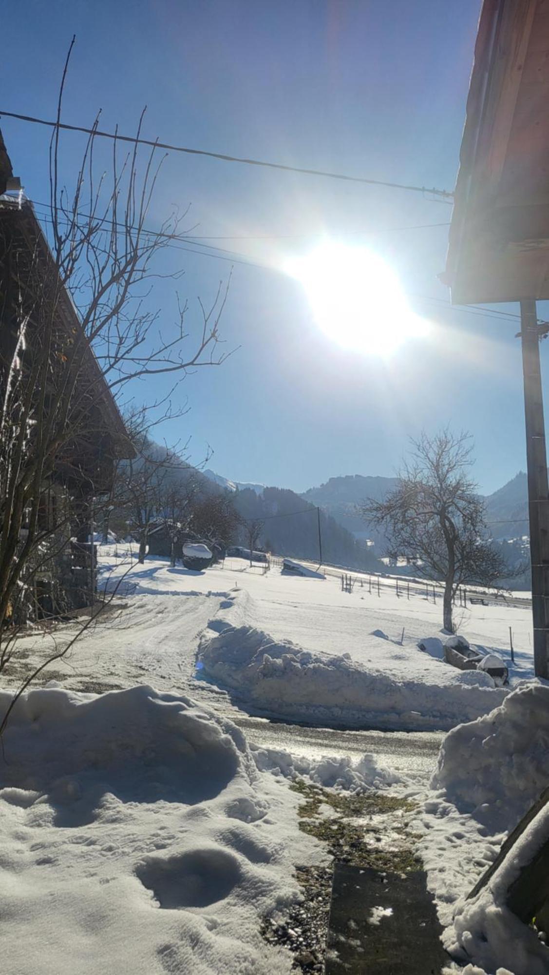 Le Nid Des Cerfs Bed & Breakfast Essert-Romand Bagian luar foto
